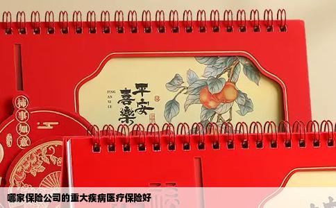 哪家保险公司的重大疾病医疗保险好