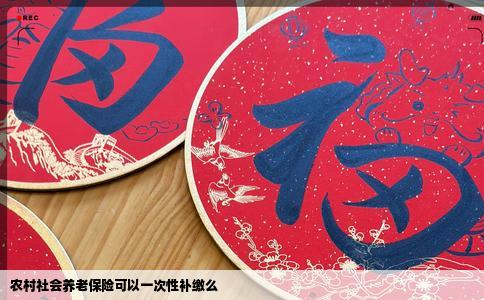 农村社会养老保险可以一次性补缴么