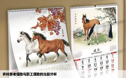 农村养老保险与职工保险的比较分析