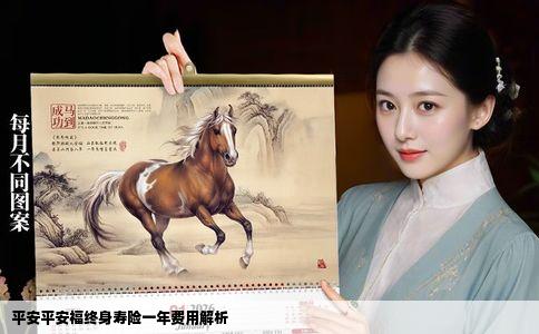 平安平安福终身寿险一年费用解析