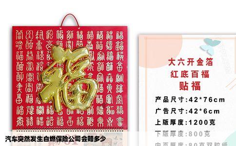 汽车突然发生自燃保险公司会赔多少