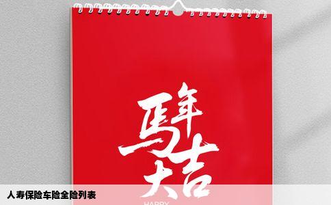 人寿保险车险全险列表