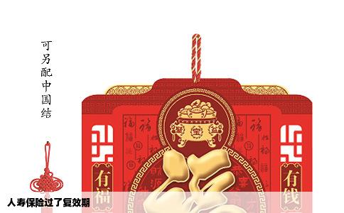 人寿保险过了复效期