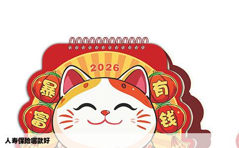 人寿保险哪款好