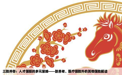 三险并举：人才保障的多元策略——除养老、医疗保险外的其他保险解读