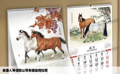 泰康人寿保险公司有哪些岗位啊