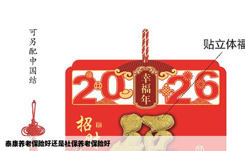 泰康养老保险好还是社保养老保险好