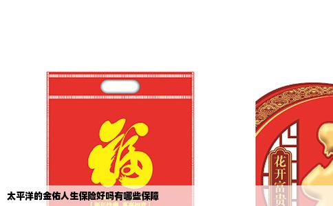 太平洋的金佑人生保险好吗有哪些保障