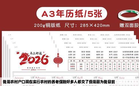 我是农村户口现在实行农村的养老保险好多人都交了但是因为我目前