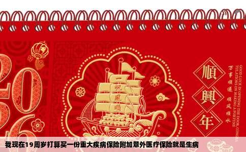 我现在19周岁打算买一份重大疾病保险附加意外医疗保险就是生病