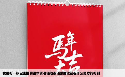 我要打一张宝山区的基本养老保险参保缴费凭证在什么地方能打到
