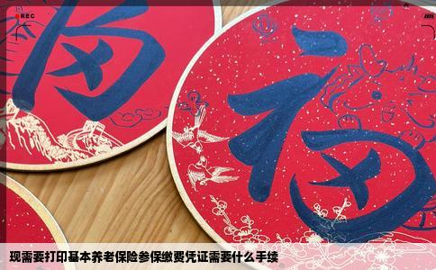 现需要打印基本养老保险参保缴费凭证需要什么手续