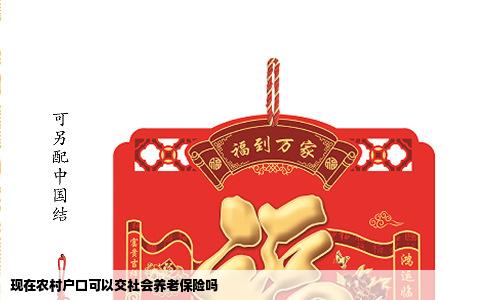 现在农村户口可以交社会养老保险吗