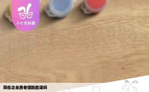 现在企业养老保险能退吗