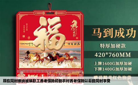现在同时缴纳城镇职工养老保险和新农村养老保险以后能同时享受