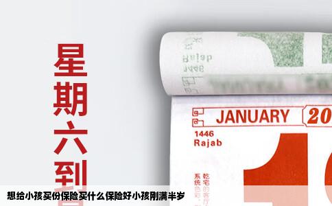 想给小孩买份保险买什么保险好小孩刚满半岁