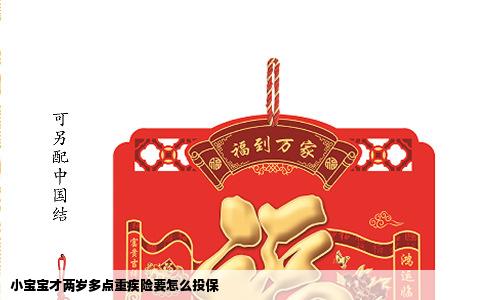 小宝宝才两岁多点重疾险要怎么投保