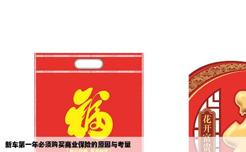 新车第一年必须购买商业保险的原因与考量