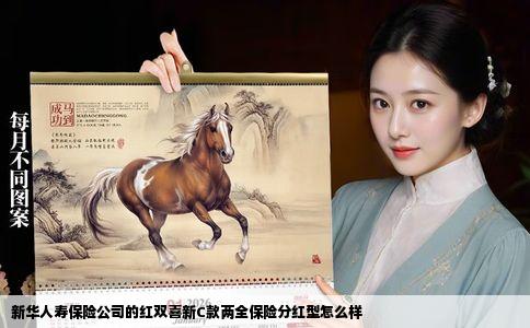 新华人寿保险公司的红双喜新C款两全保险分红型怎么样
