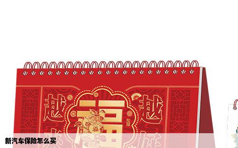 新汽车保险怎么买
