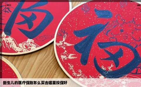 新生儿的医疗保险怎么买去哪里投保好