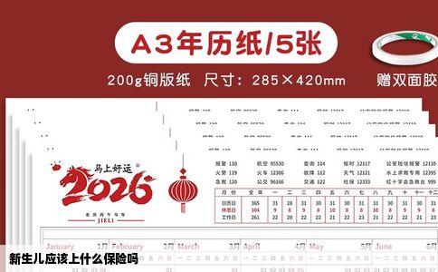 新生儿应该上什么保险吗