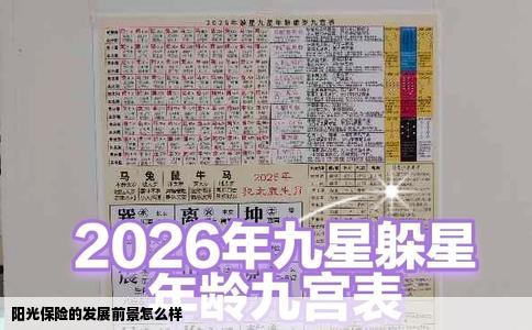 阳光保险的发展前景怎么样