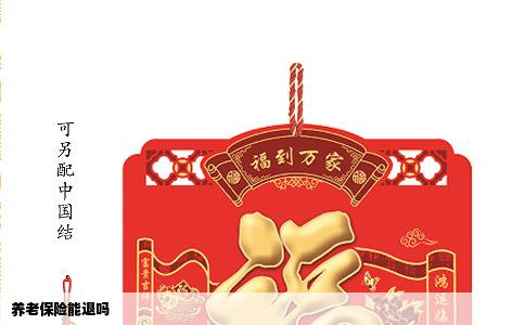 养老保险能退吗