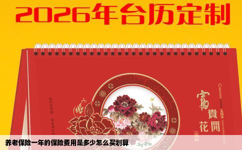 养老保险一年的保险费用是多少怎么买划算