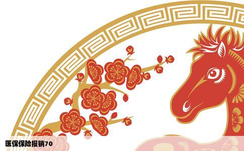 医保保险报销70