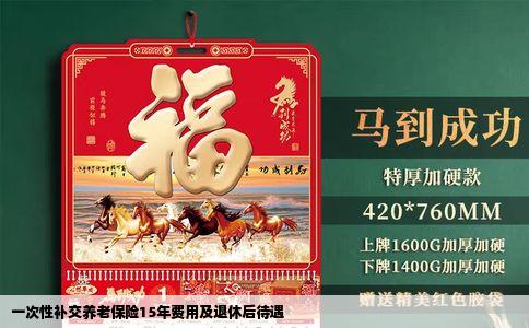 一次性补交养老保险15年费用及退休后待遇