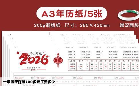 一年医疗保险700多元工资多少