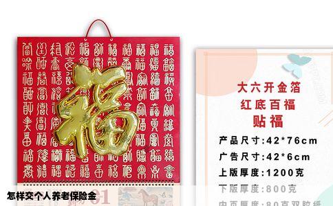 怎样交个人养老保险金