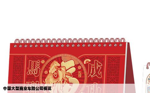 中国大型商业车险公司概览