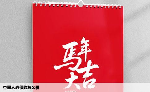 中国人寿保险怎么样