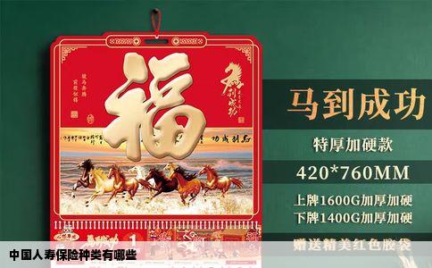 中国人寿保险种类有哪些