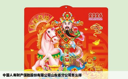 中国人寿财产保险股份有限公司山东省分公司怎么样