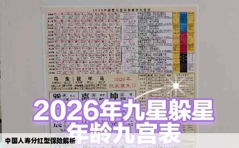 中国人寿分红型保险解析