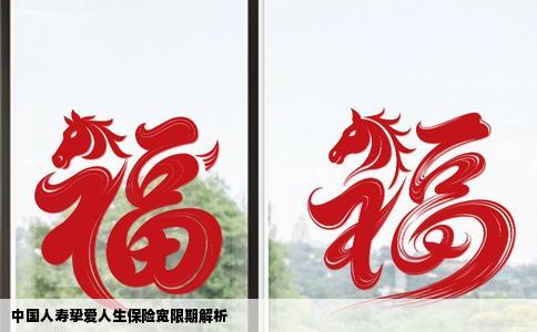 中国人寿挚爱人生保险宽限期解析