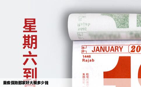 重疾保险那家好大概多少钱