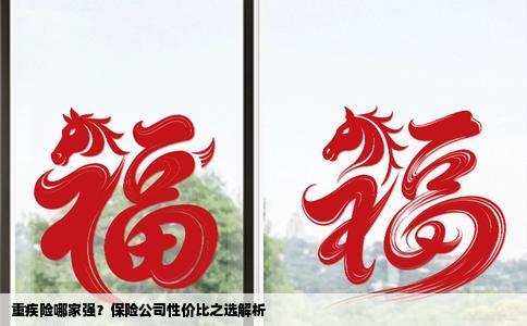 重疾险哪家强？保险公司性价比之选解析